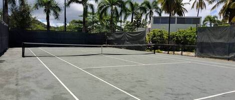 Sport court