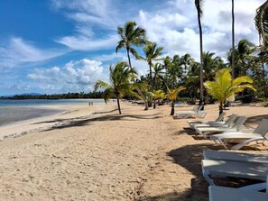 Ein Strand mit weißen Liegestühlen, Palmen und blauem Himmel.