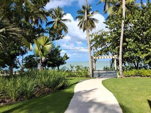 A pathway leading to a beach with palm trees and a clear sky. - Stunning condo, private rooftop pool, best in LT (Las Terrenas)