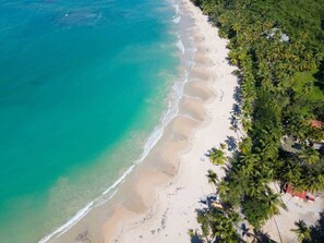An aerial view of a beach with clear turquoise waters, a sandy shore, and a line of palm trees. - Luxury Hills-Amazing 2 bed condo step to the beach (Las Terrenas)