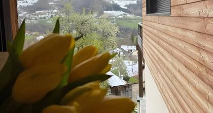 Chambre avec vue sur le Néron au coeur de la Chartreuse