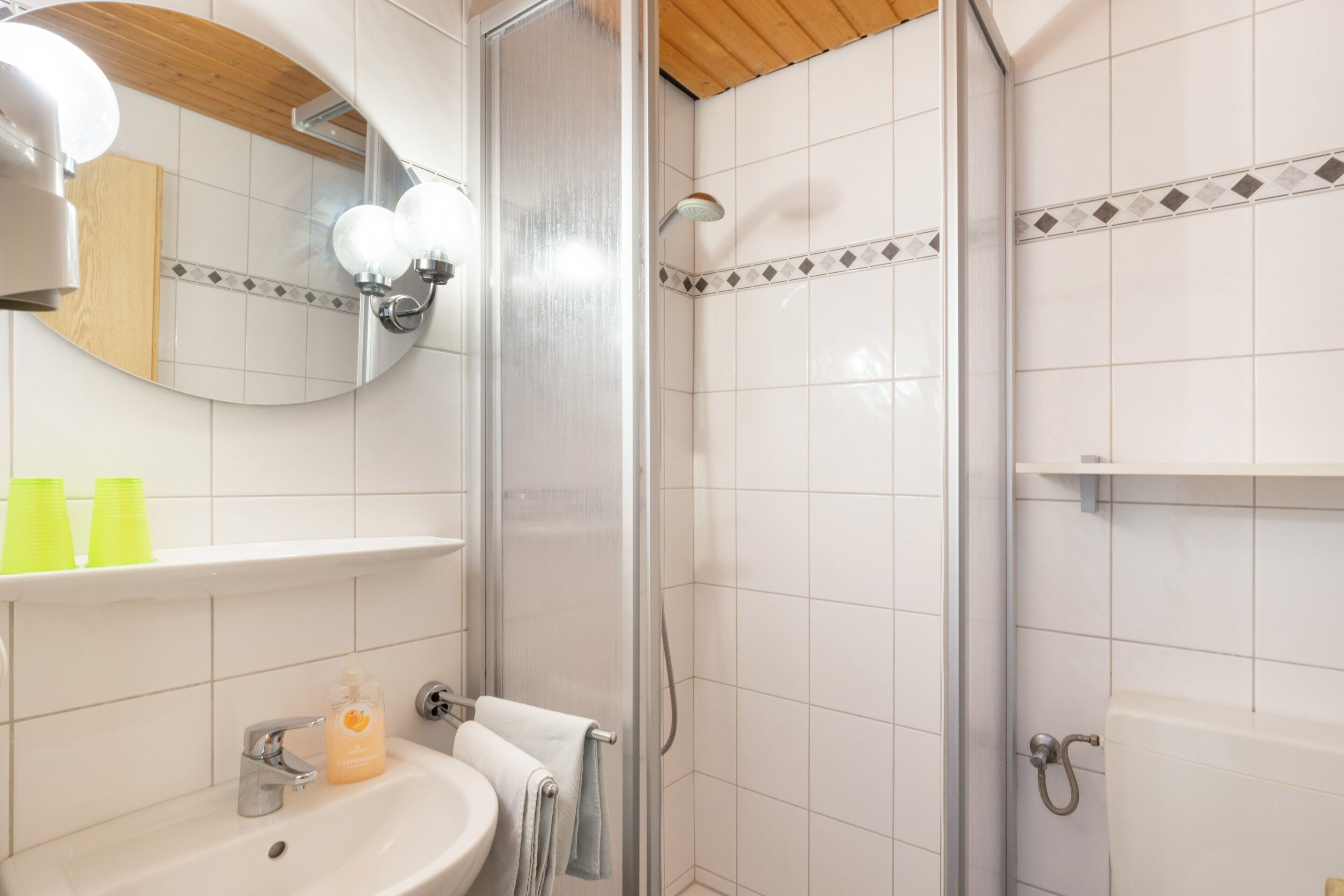 Shower, hair dryer, towels
