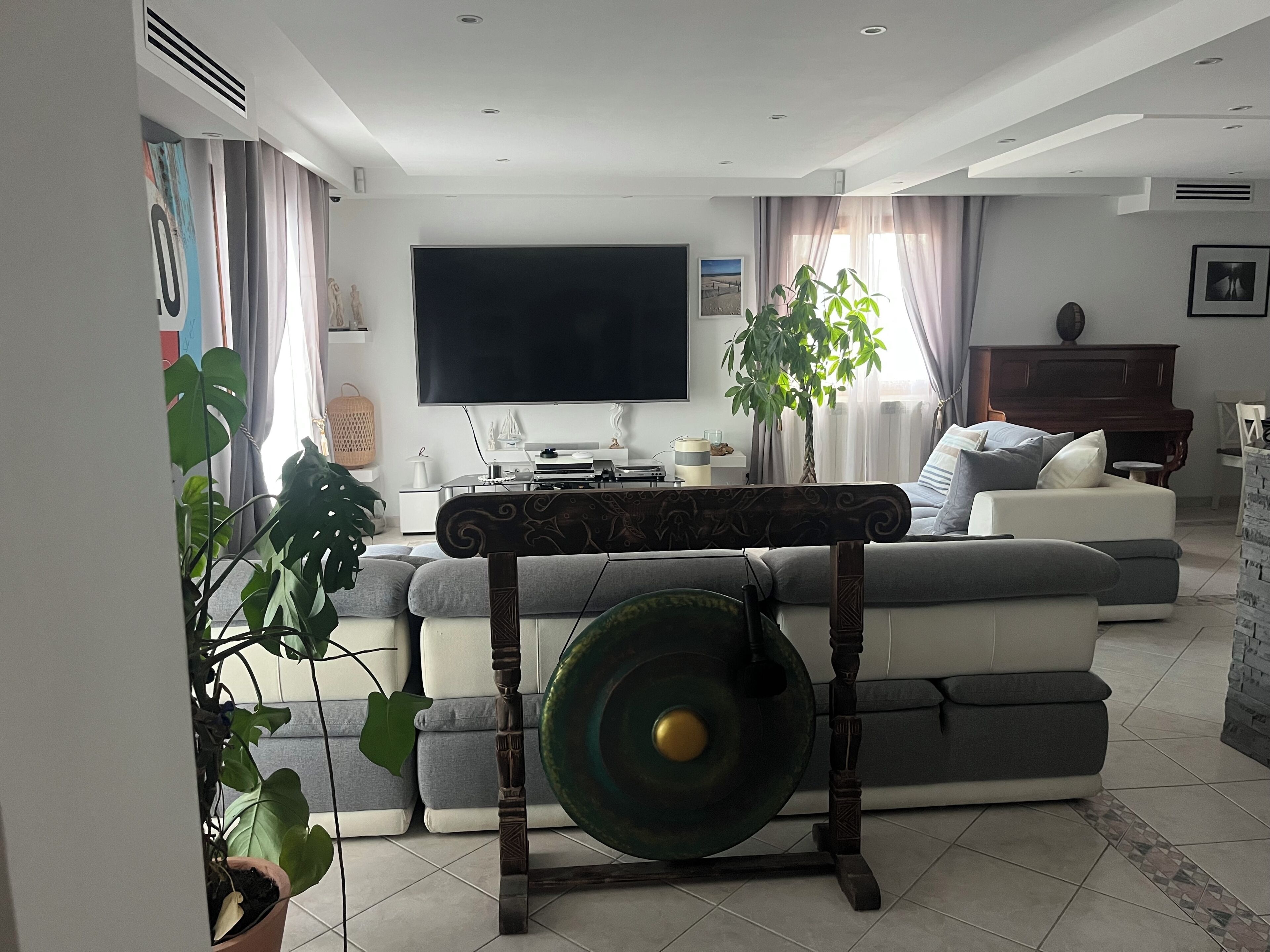 Un salon avec un canapé, un téléviseur, une plante et une table décorative.