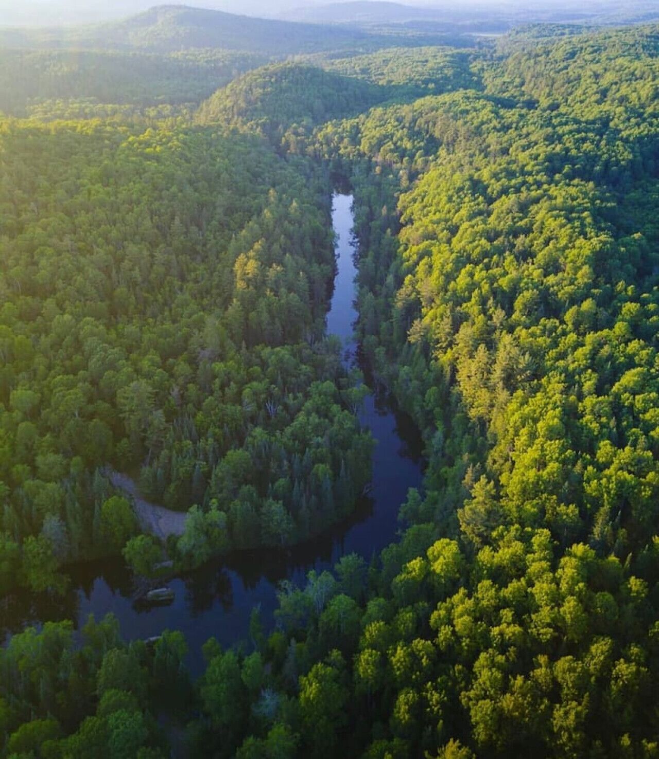 Un río serpentea por una zona boscosa densa con colinas al fondo.