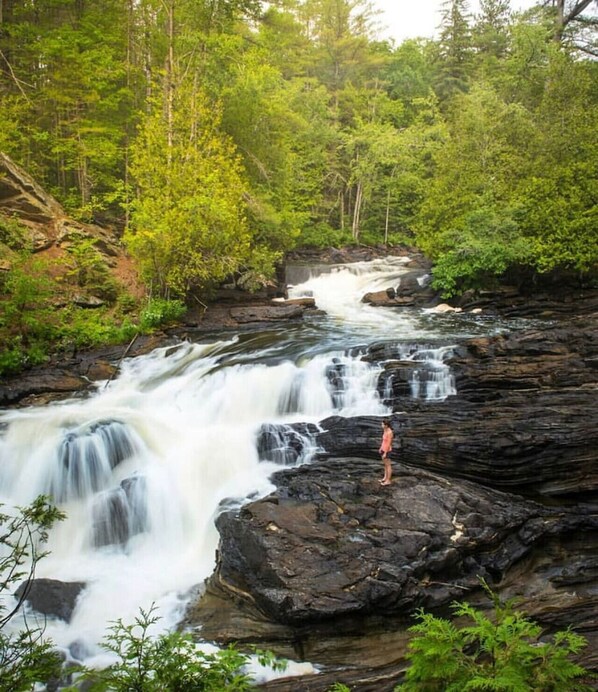 A waterfall cascading over dark rocks surrounded by dense green foliage.