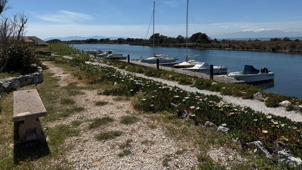 Puerto deportivo con barcos amarrados, un camino de grava y un banco.