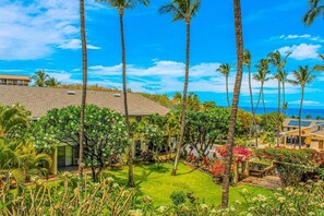 Property grounds - Steps to Kam Beach! 2BR w/ AC & Beach Gear (Kihei)