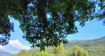 Lake view, Private farm, King bed, Salmo/Fruitvale