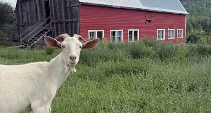 Lake view, Private farm, King bed, Salmo/Fruitvale