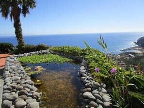 Property grounds - Sea Sky Studio by Holiday Rental Madeira (Madeira)