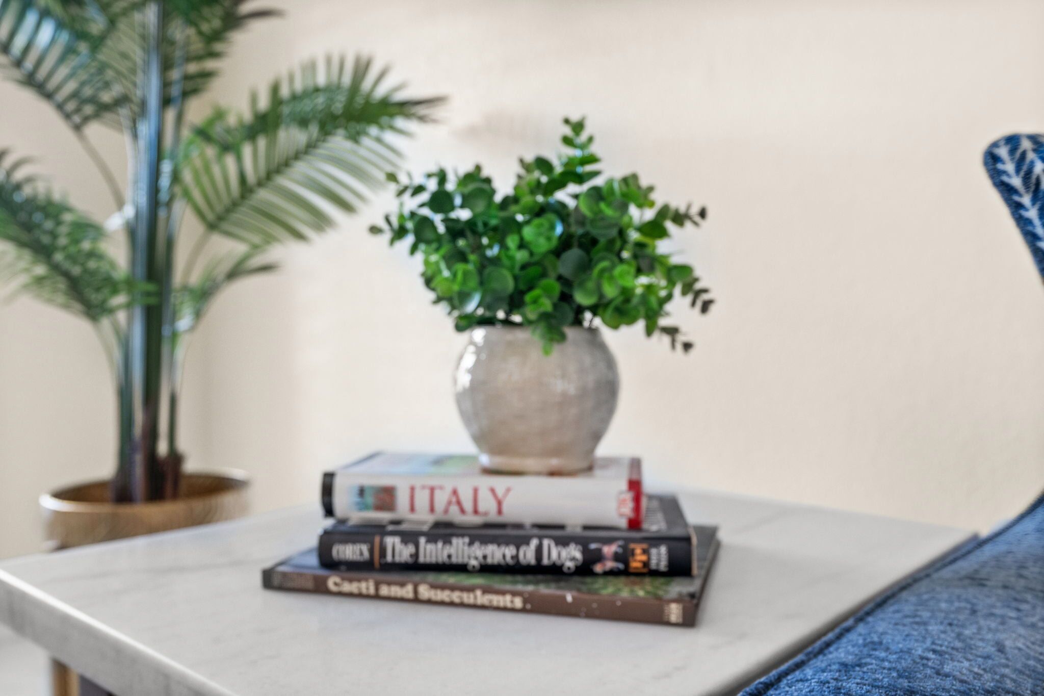 A potted plant on a table with books.
