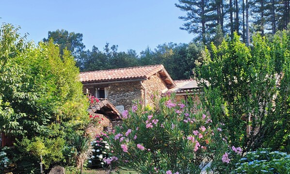 Área da propriedade