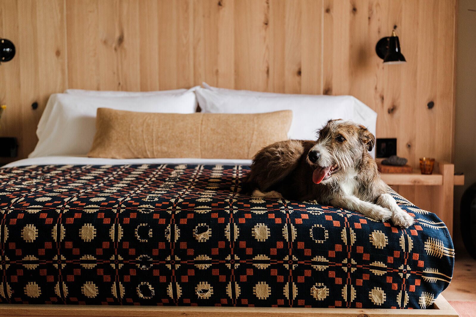 Studio-suite - udsigt til flod