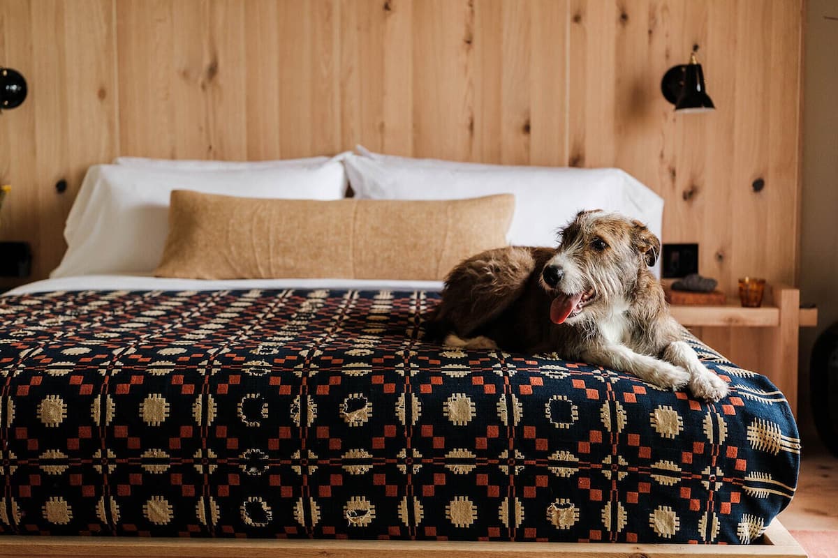 Suite studio, vue sur le fleuve