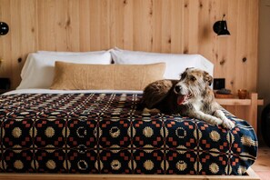 Studio-suite - udsigt til flod