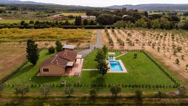 Une maison avec une piscine, entourée d’une pelouse bien entretenue et d’un vignoble.