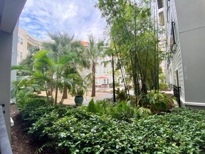 Property grounds - Luxury Central Tampa, Resort-Style Amenities (Tampa)