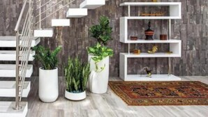 Un intérieur moderne avec un escalier, des étagères blanches et des plantes en pot.