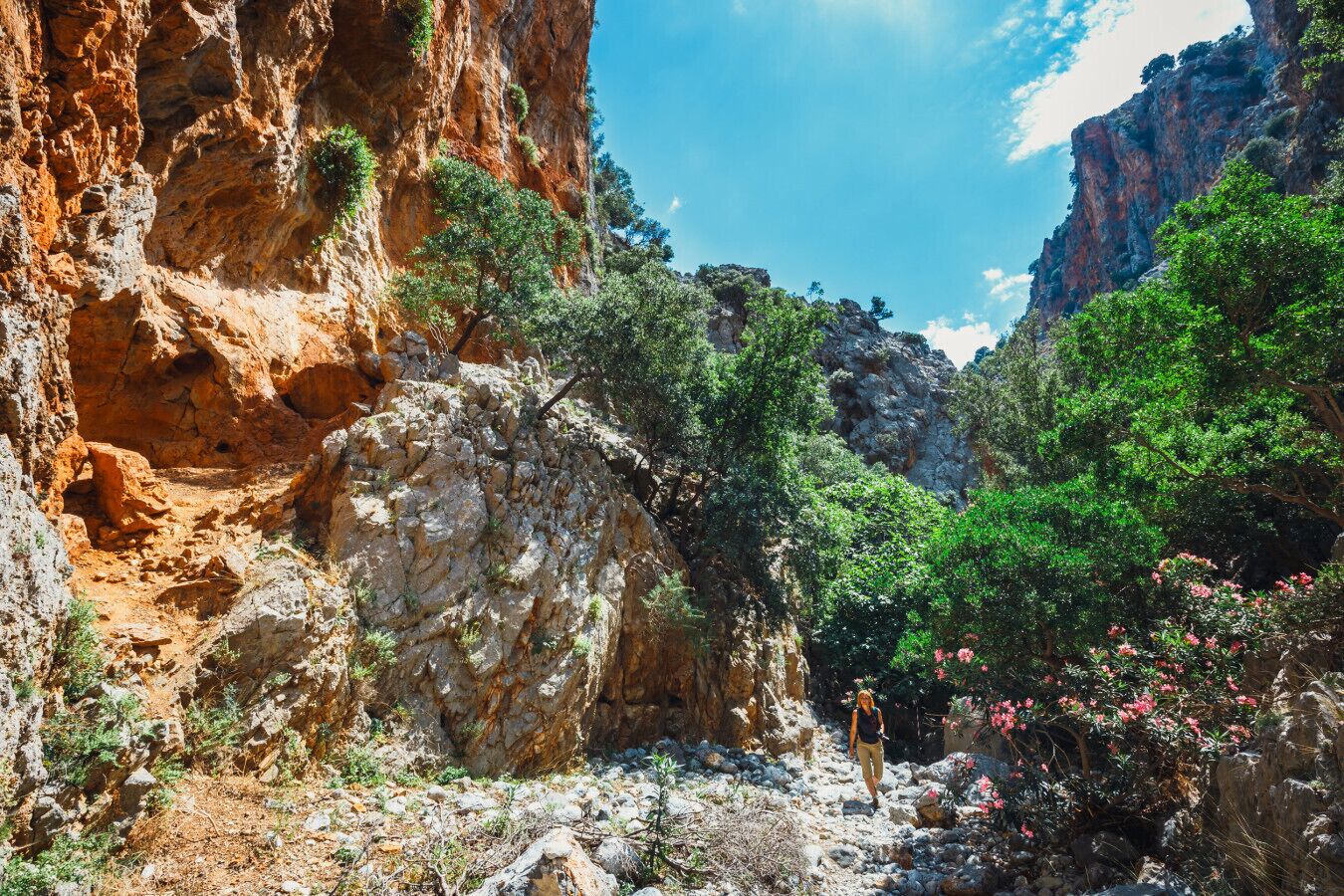 Ein felsiger Canyon mit einer Person, umgeben von Grünpflanzen und steilen Felswänden.