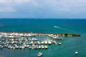 A marina with numerous boats docked. - P1508-Comfortable apartment in Fajardo (Fajardo)