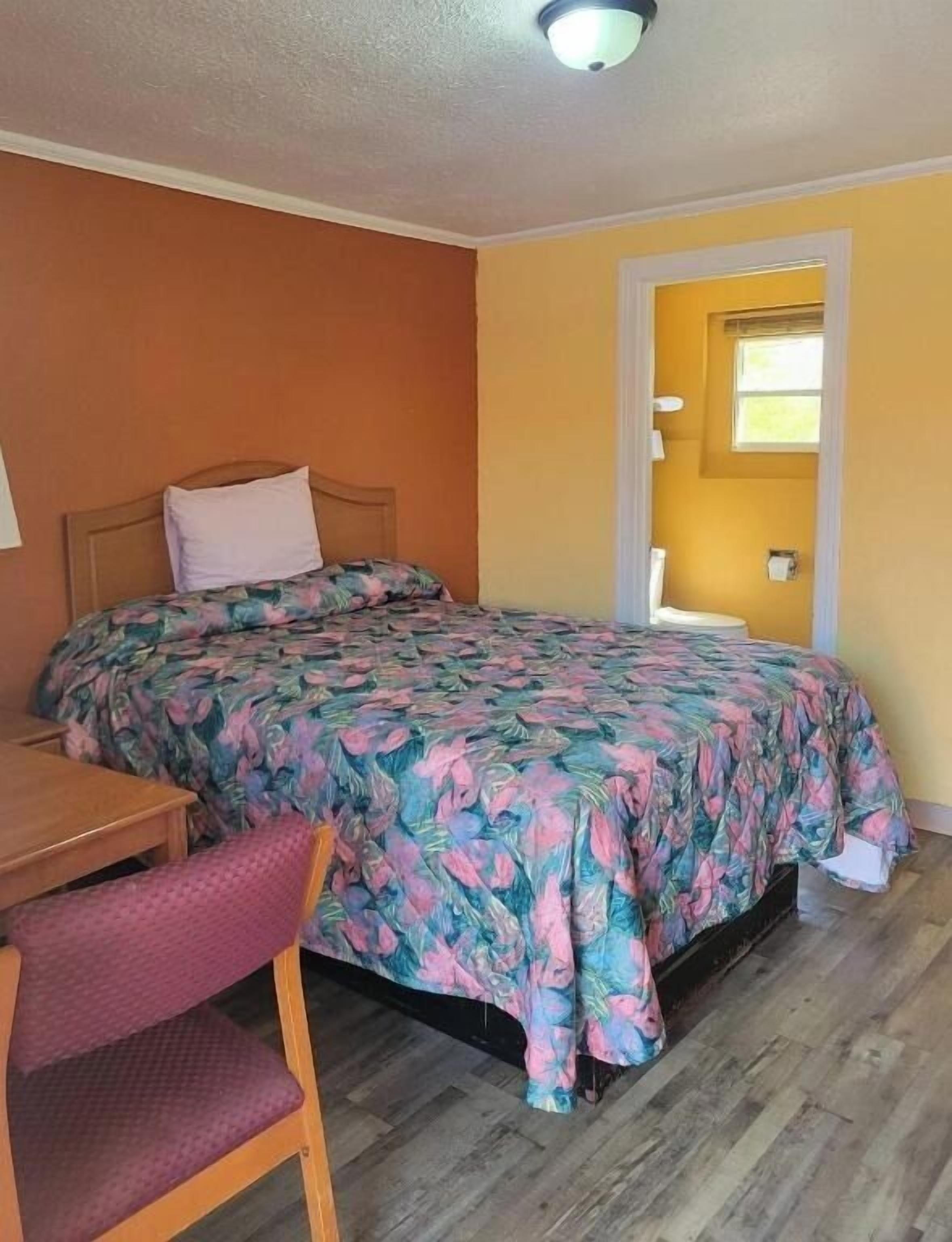 Room, 1 King Bed, Smoking