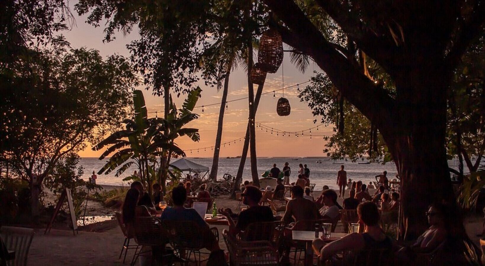 Un espace de restauration en plein air, avec des tables et des chaises, donnant sur une plage où l’on peut voir des gens et des palmiers.