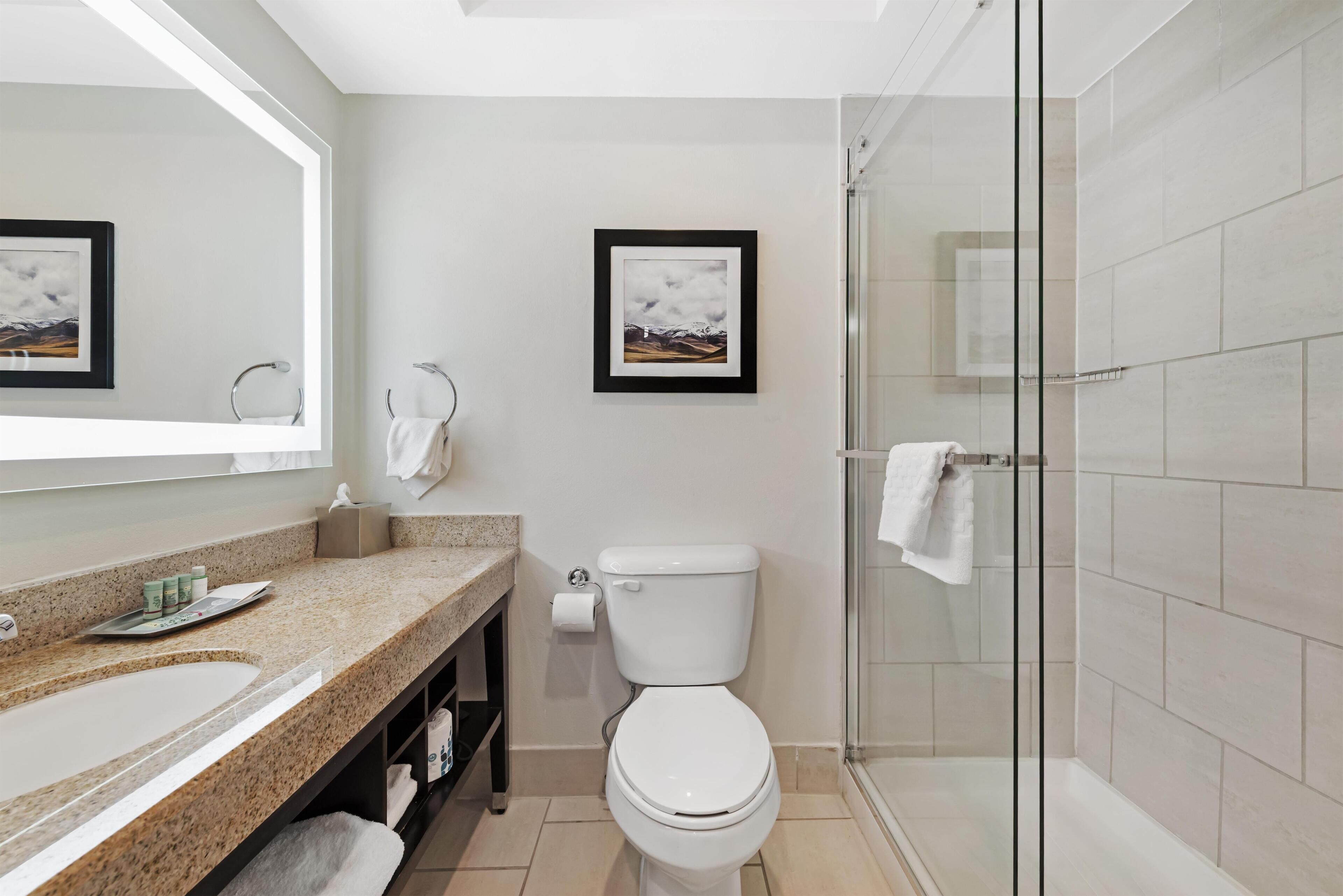 A modern bathroom with a granite countertop, a white toilet, a glass shower enclosure, and framed pictures on the wall.
