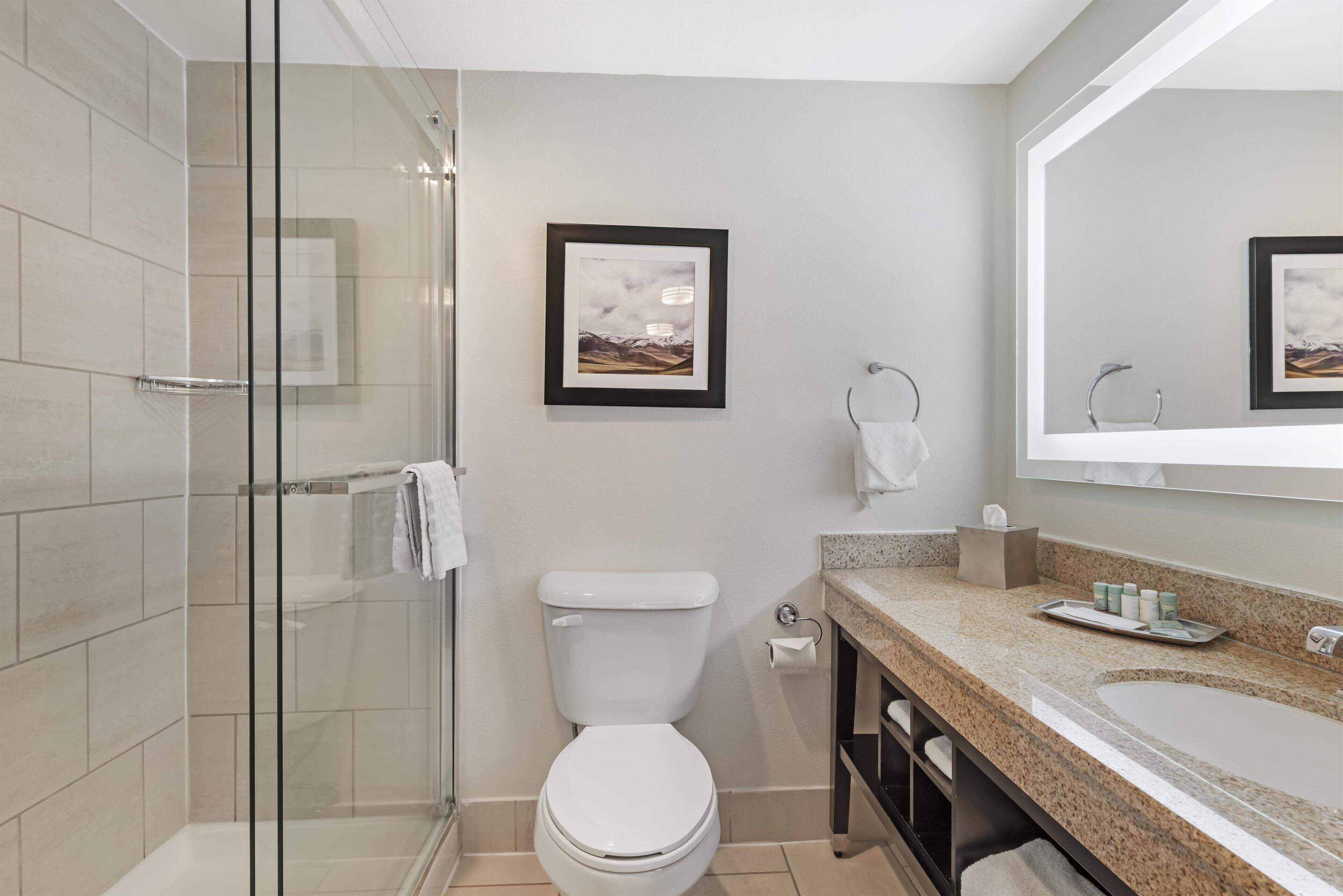 Een moderne badkamer met een douchecabine van glas, een wit toilet, een wastafel met aanrechtblad en een foto in een lijst aan de muur.