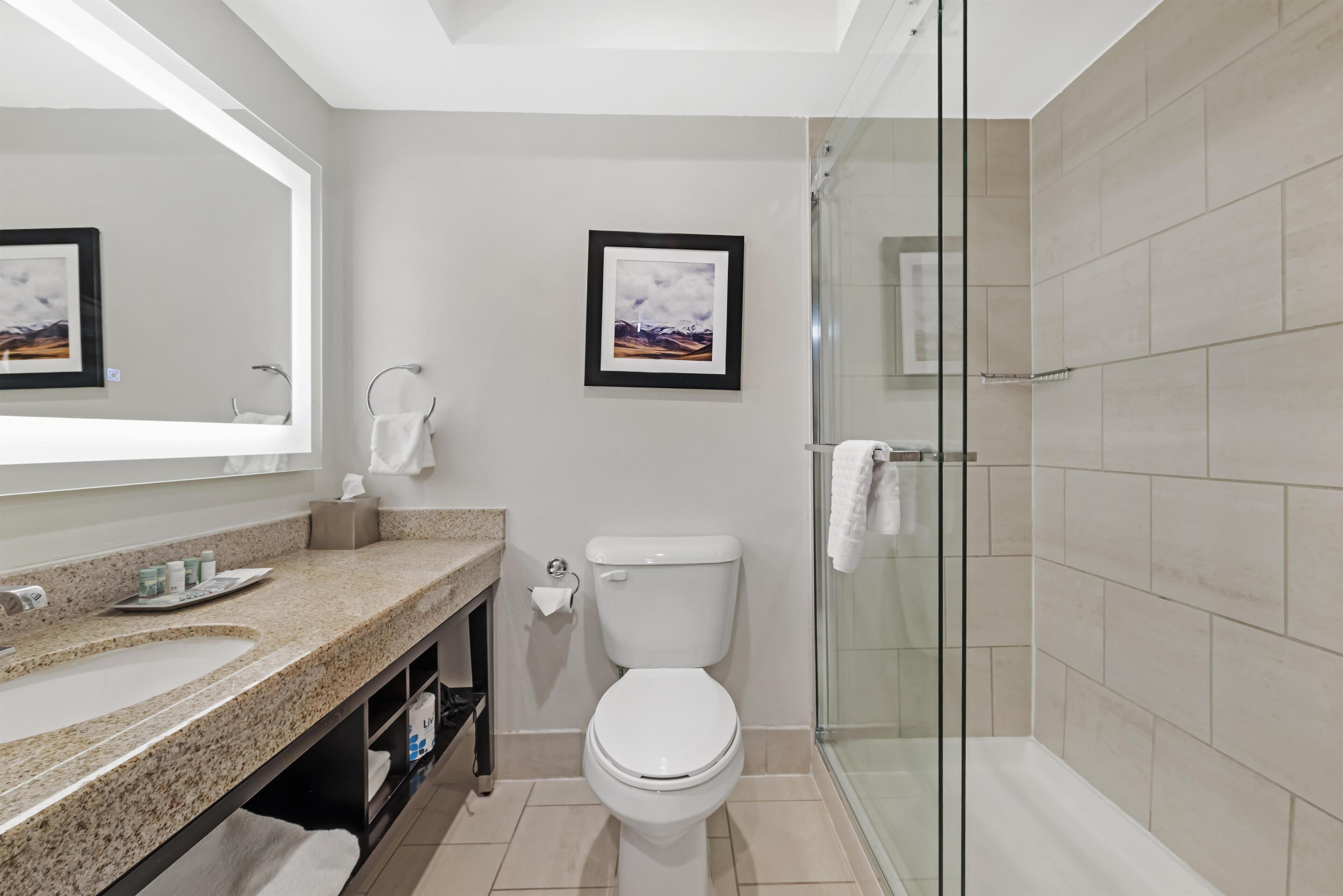 A bathroom with a sink, toilet, and glass shower enclosure.