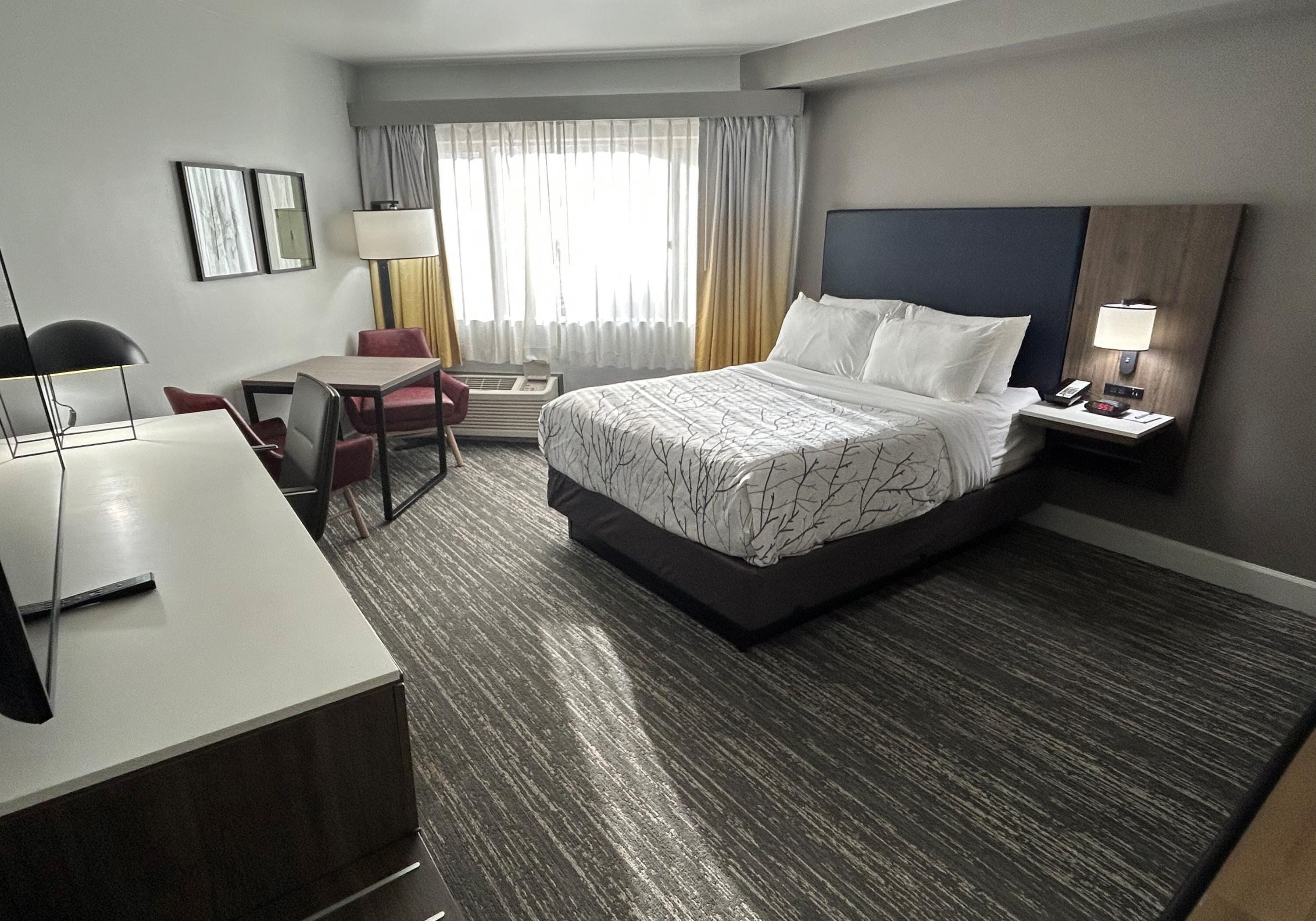 Standard-herbergi - 1 meðalstórt tvíbreitt rúm - reyklaust - eldhúskrókur | Einkaeldhúskrókur