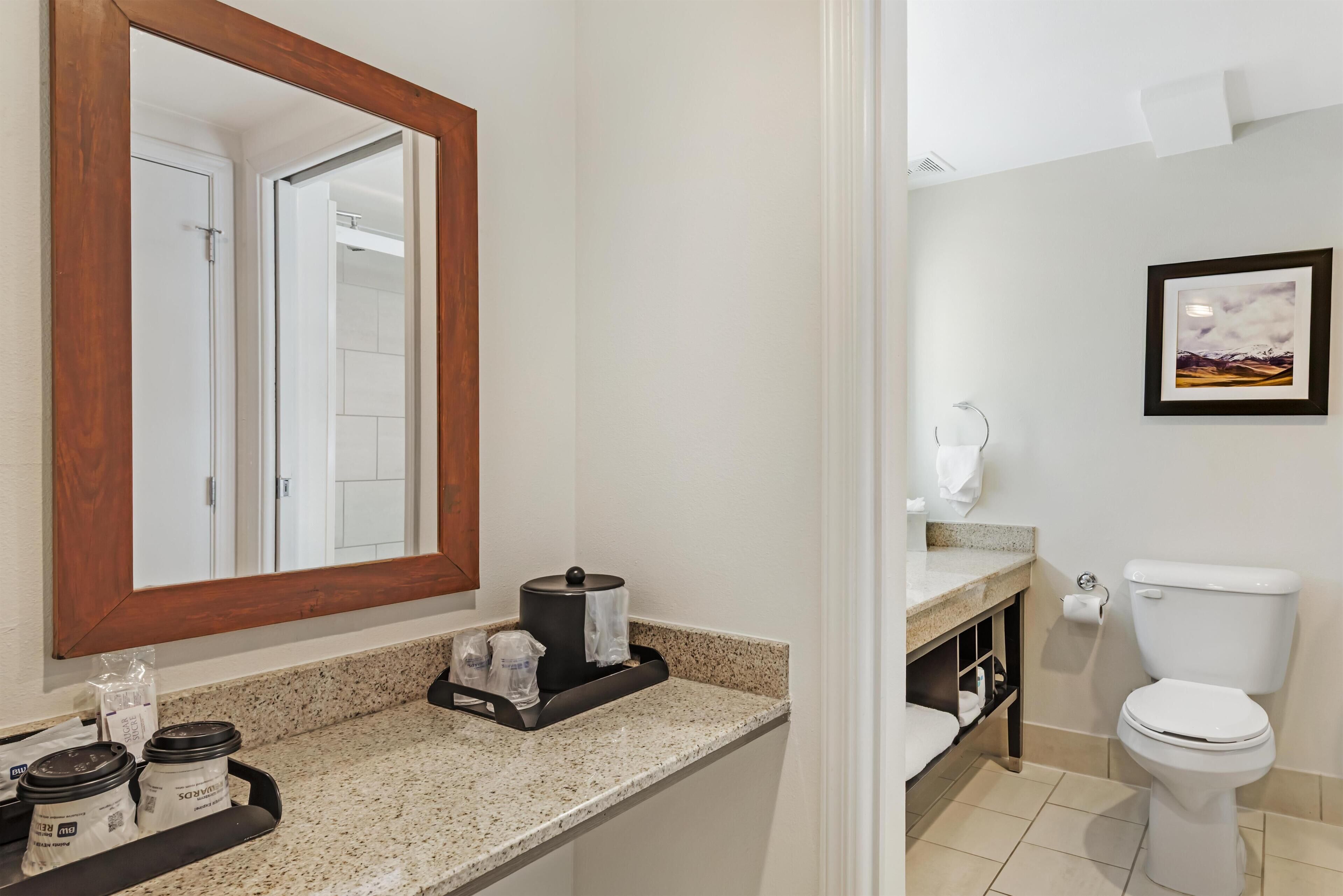 Ein Badezimmer mit Toilette, Waschbecken, Spiegel und einem gerahmten Bild an der Wand.