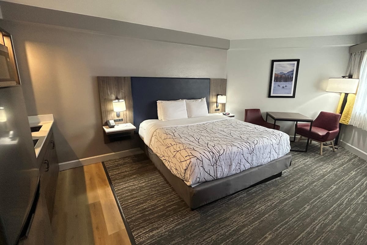 Standard-herbergi - 1 stórt tvíbreitt rúm - reyklaust - eldhúskrókur | Einkaeldhúskrókur