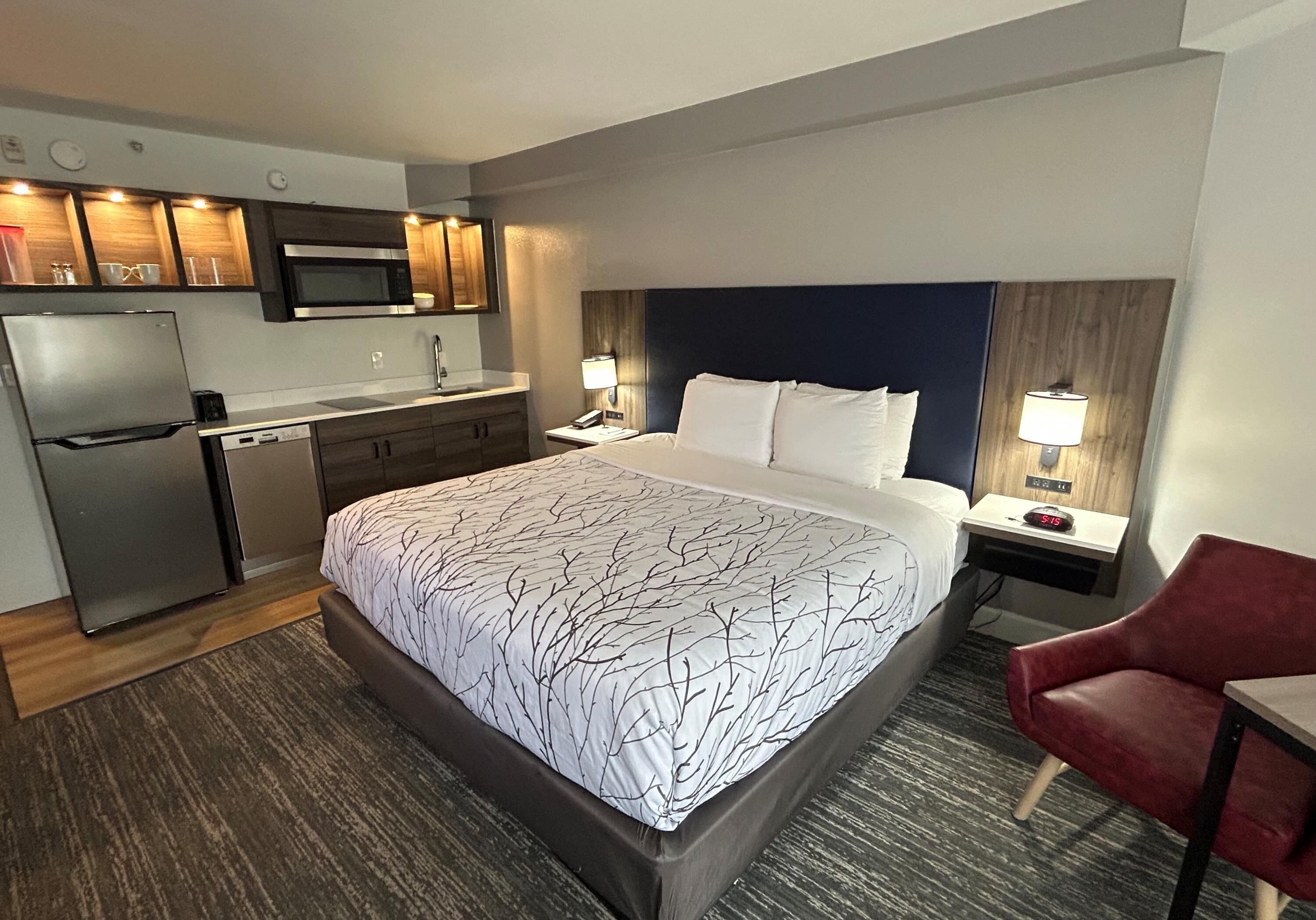 Standard Room, 1 King Bed, Non Smoking, Kitchenette | Private kitchenette