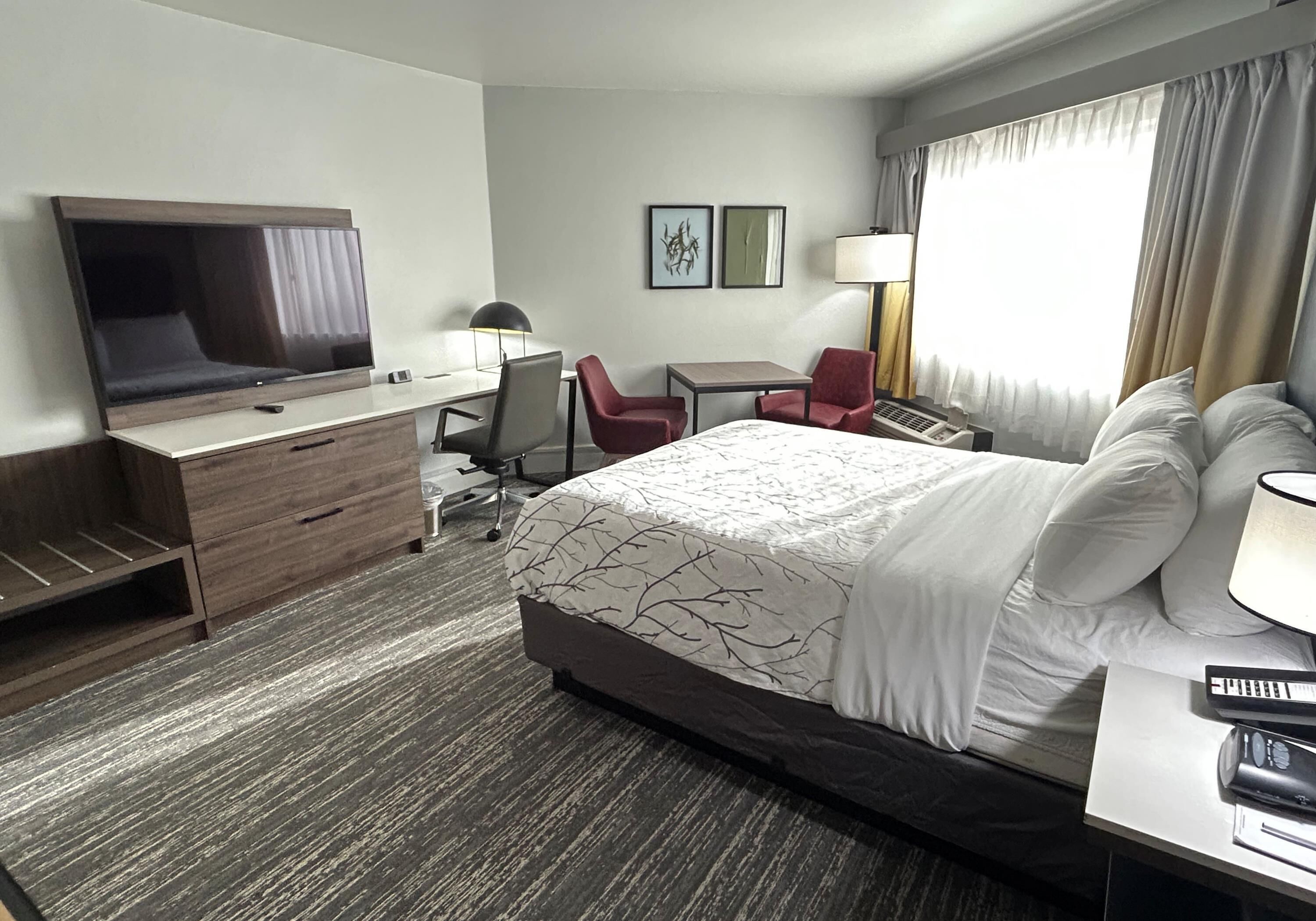 Standardzimmer, 1 Queen-Bett, Nichtraucher, Kochnische | Eigene Kochnische