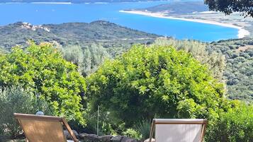 Terrain de l’hébergement