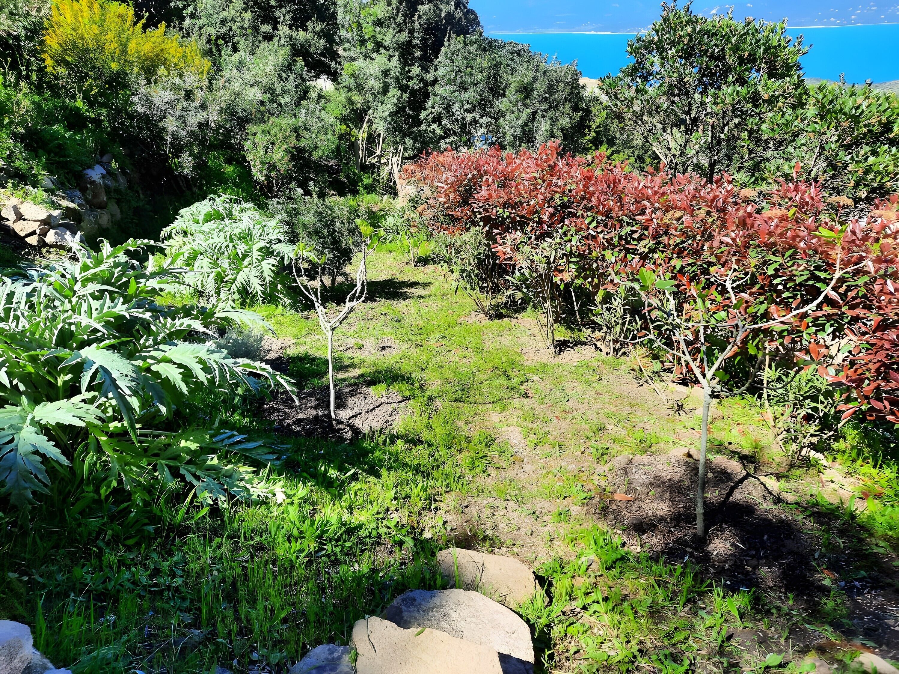 Terrain de l’h ébergement 