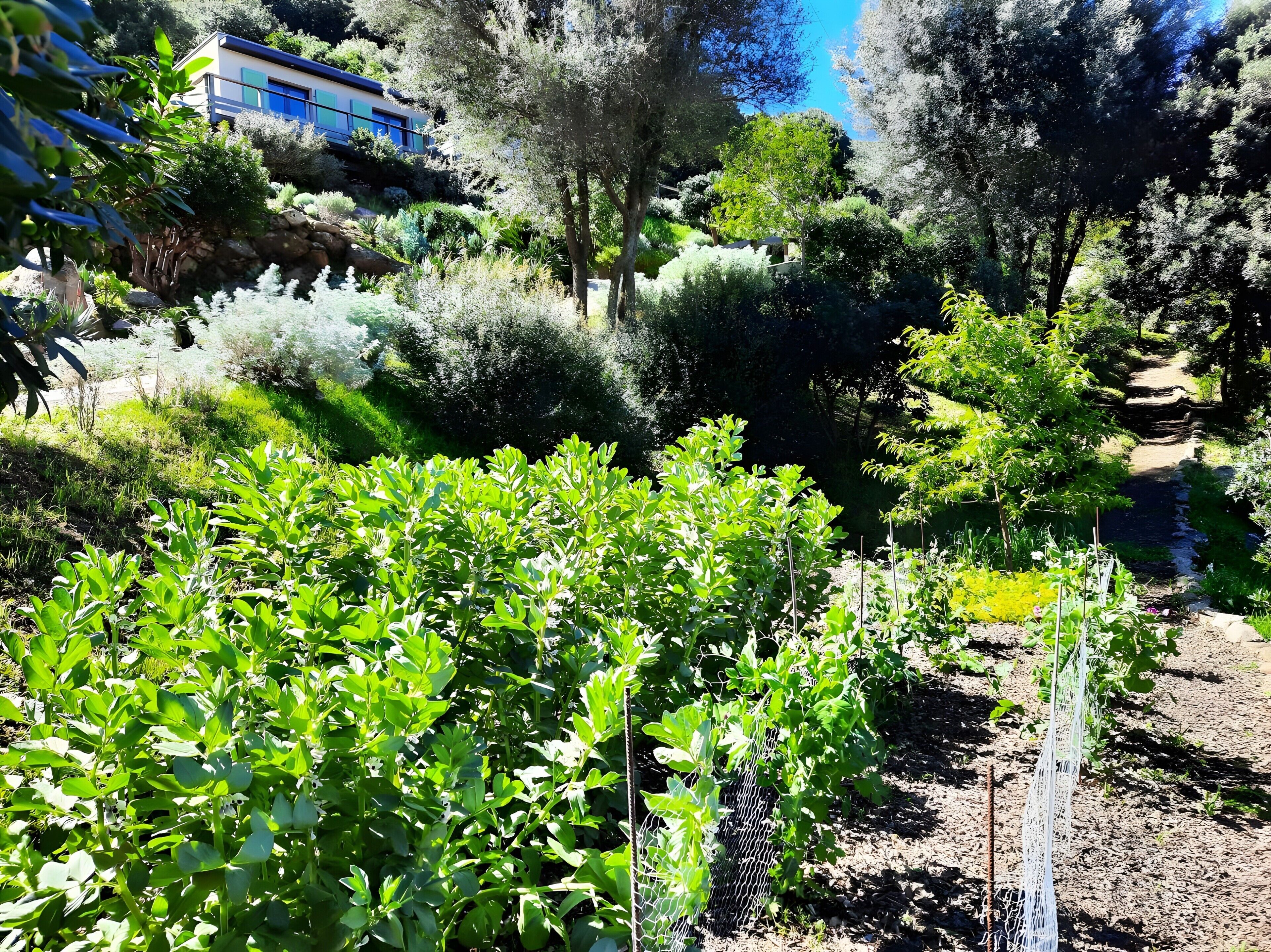 Overnattingsstedets uteområder