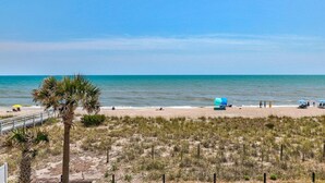 Ein Strand mit einer Palme, einem Zaun und blauem Himmel.