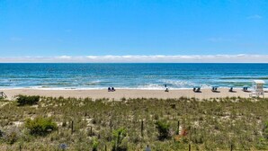 Ein Strand mit blauem Himmel, Meer und vereinzelter Vegetation.