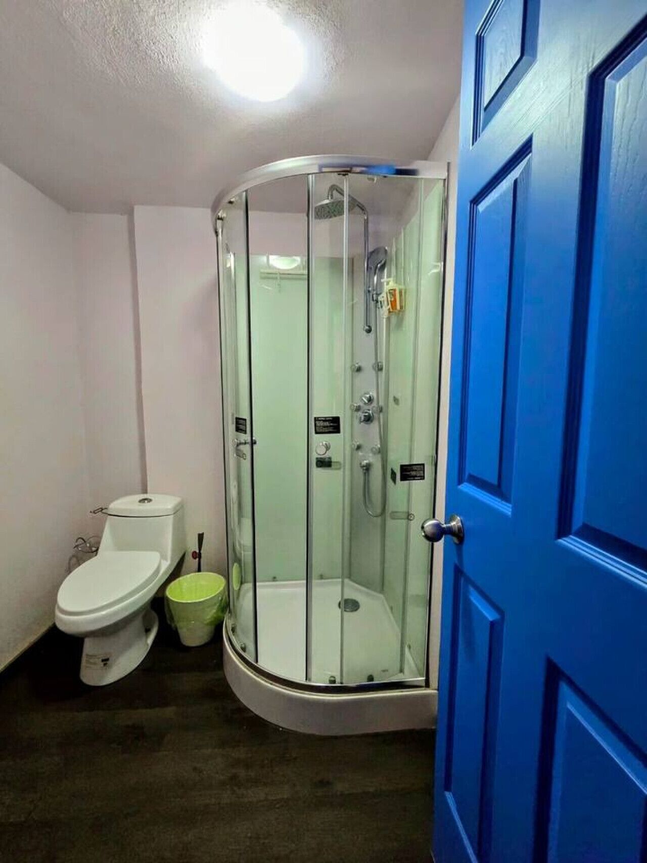 A bathroom with a glass-enclosed shower, a toilet, and a blue door.