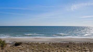 Een strand met een heldere lucht, een zandstrand en schaarse begroeiing.