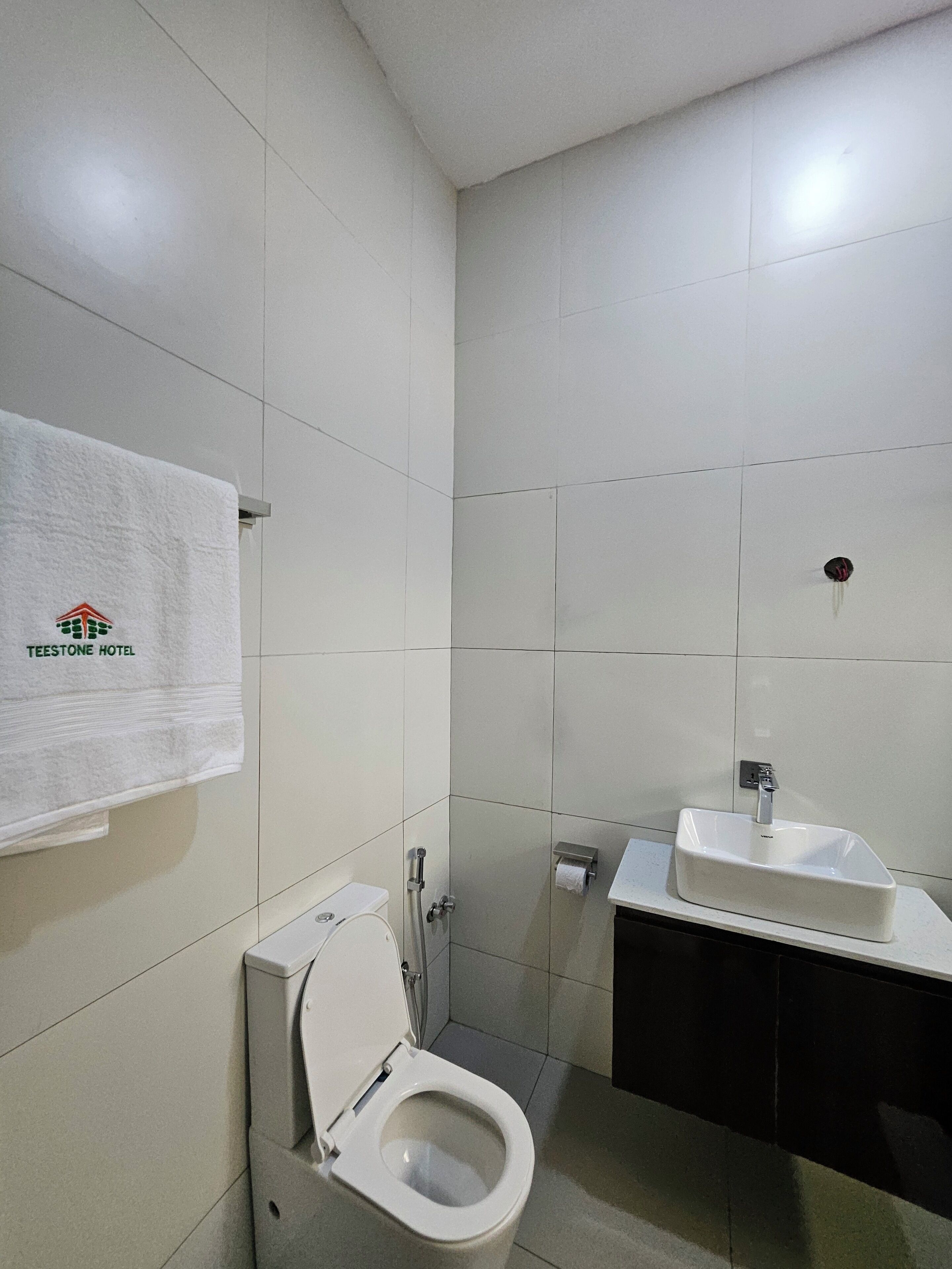 Une salle de bain avec des toilettes, un lavabo et une serviette accrochée au mur.