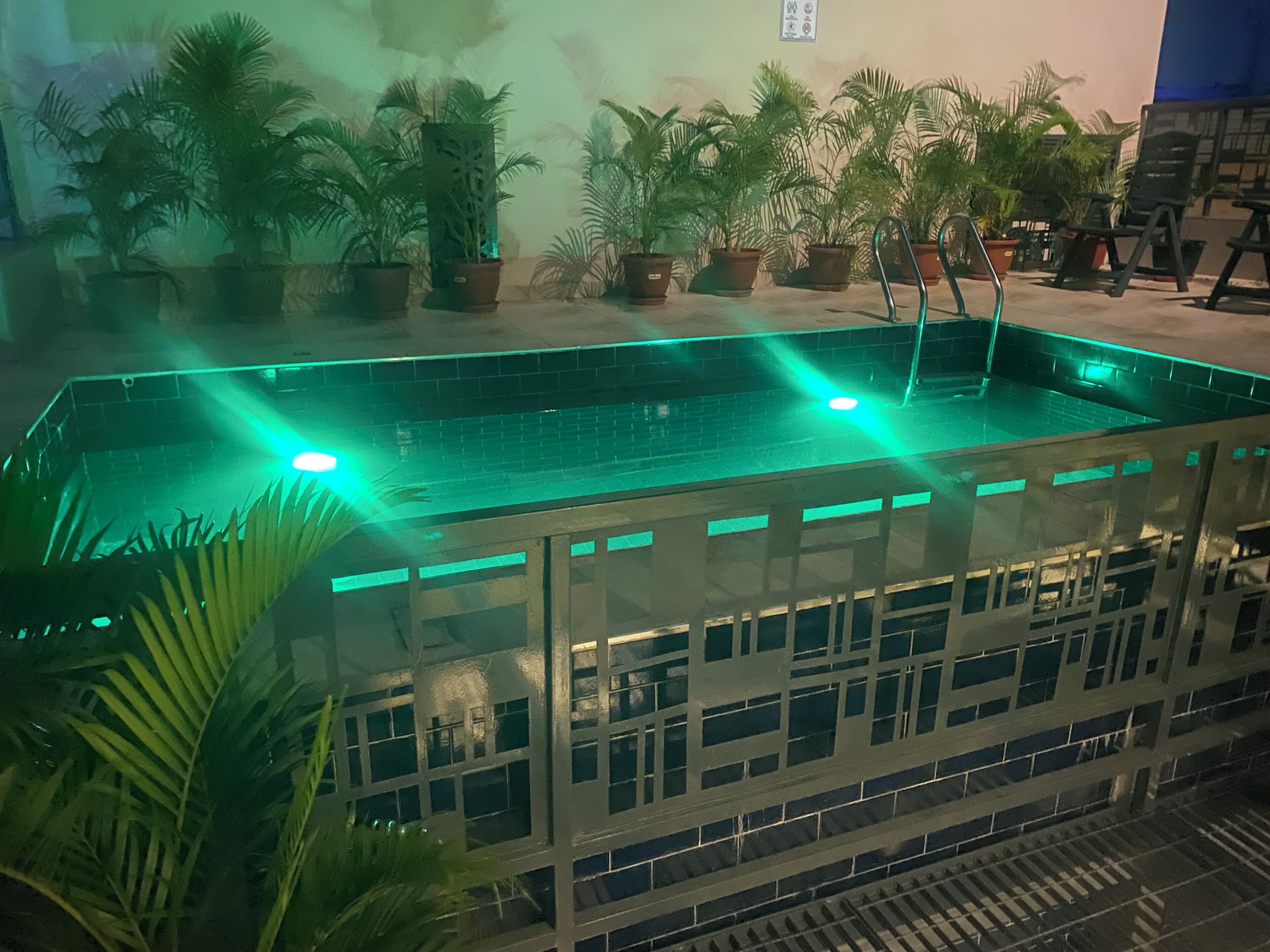 Zona de piscina con plantas en macetas y barandilla de vidrio.