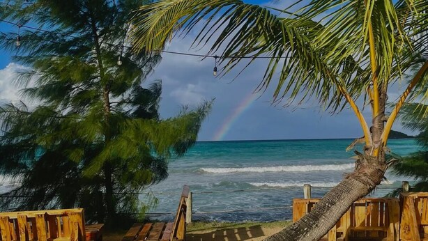 A beach with wooden benches, a palm tree, and a view of the ocean. - Hotel Boutique Casa Grande Playa Bonita (Las Terrenas)