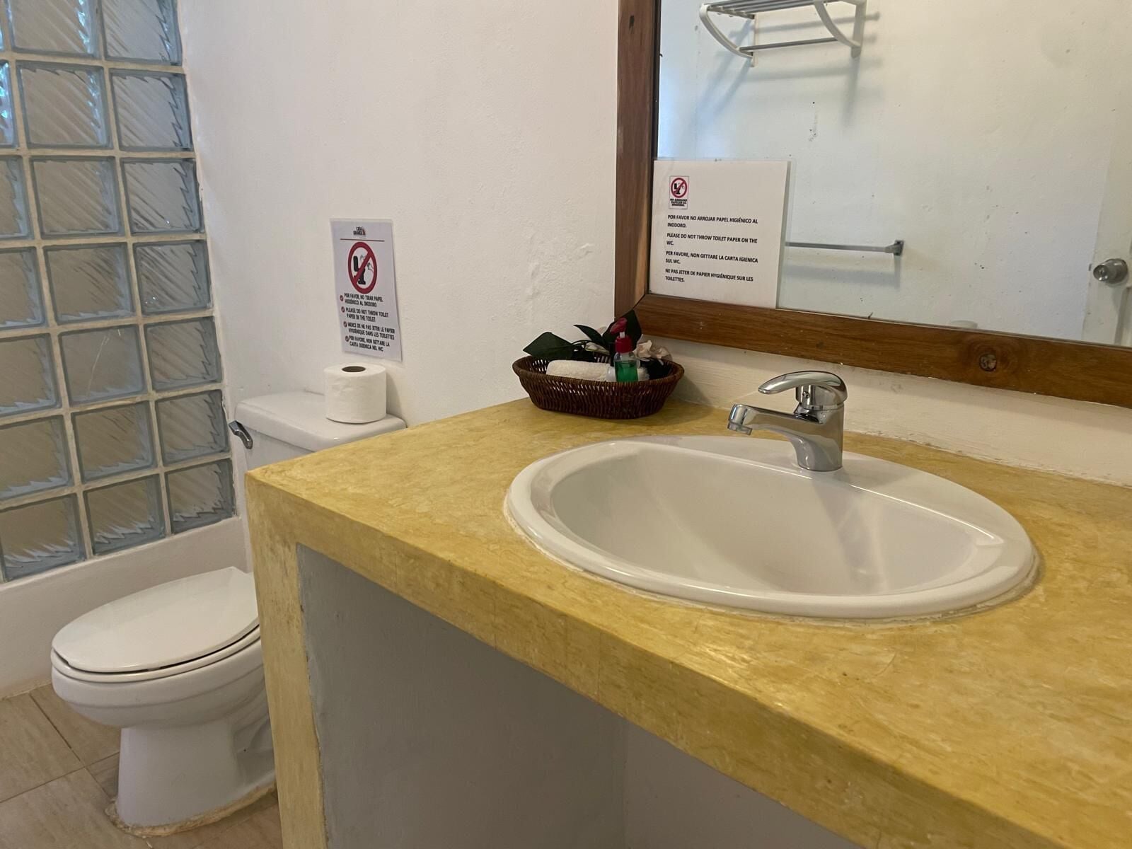 Een badkamer met toilet, wastafel en een raam van glasblokken.