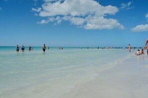 Beach - Modern Luxe king Suite~Minutes To Lido Beach + Activities + Eateries + Downtown. (Sarasota)