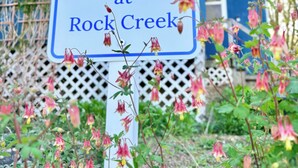 A sign for 'The Cottage at Rock Creek' with a white background and blue lettering, surrounded by flowering plants.