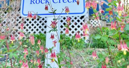 Cozy Lake Cottage! Dog Friendly, Fishing/Beach/Kayak. Military 30% Off