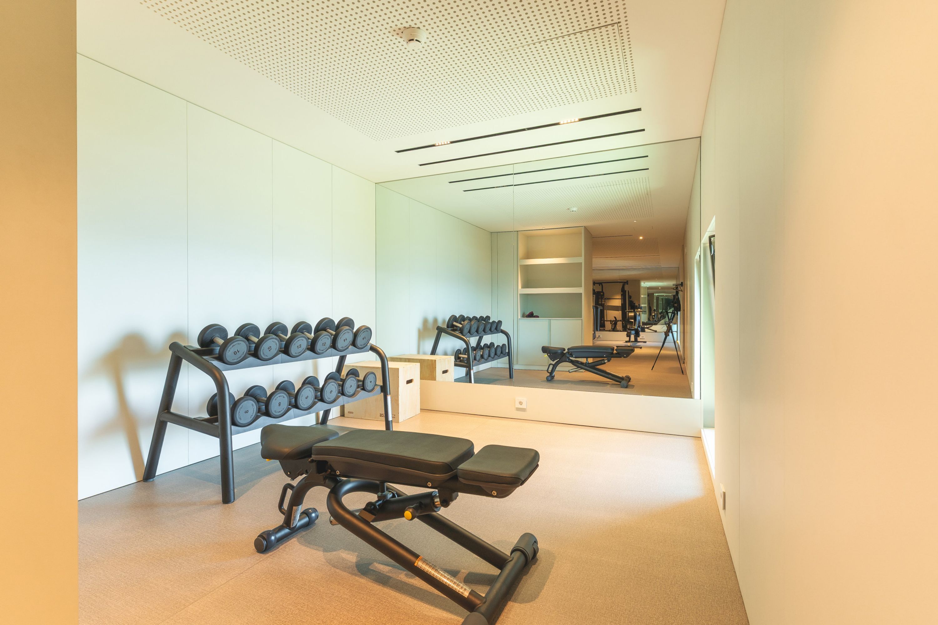 A gym with a bench press, dumbbells, and a large mirror.