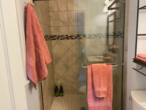 Shower, hair dryer, towels, soap - 5 Star Rated Estate on the water Heated Pool plenty of privacy almost 2 acres (Sarasota)